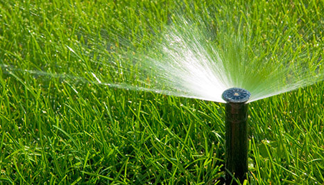 Sprinkler/Irrigation System Installation